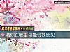 《測你在哪裏可能會被綁架》测试
