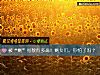 《被“剩”<i>指數</i>有多高！剩女們，你怕了嗎？》测试