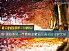 《測你的另一半<i>性格</i>是霸道總裁還是守護天使》测试
