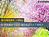 《<i>喜歡</i>哪款平安扣 測你能成爲大人物嗎？》测试