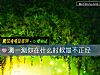 《測一測你在<i>什麼時候</i>最不正經》测试