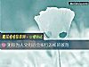 《測你爲人父母後會實行怎樣的教育》测试