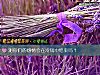 《測你們的<i>感情</i>會在冷戰中結束嗎？》测试