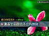 《測春節後你會不會有<i>橫財</i>》测试
