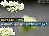 《測試職場之中會有你的位置嗎？》测试