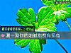 《測一測你的油膩<i>指數</i>有多高》测试