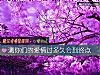 《測你們的<i>愛情</i>過多久會到終點》测试