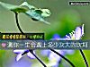 《測你<i>一生</i>會遇上多少次大的坎坷》测试