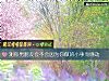 《測你男<i>朋友</i>會不會因爲你做的小事而感動》测试