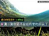 《測一測你是不是即將要轉<i>好運</i>了》测试