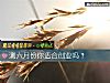 《測六月份你適合創業嗎？》测试