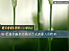 《吃薯條蘸番茄醬的方式透露人的<i>性格</i>》测试
