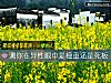 《測你在異性<i>眼中</i>是穩重還是死板》测试