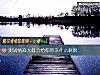 《測試<i>情商</i>太低會給你帶來什麼麻煩》测试