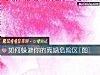 《如何躲避你的離婚危險區[圖]》测试