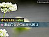 《測年底你會面臨什麼困擾》测试