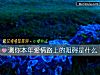 《測你本年<i>愛情</i>路上的阻礙是什麼》测试