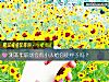 《測本年職場會有小人給你使絆子嗎？》测试