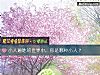 《<i>小人</i>遍地的世界中，你是哪種<i>小人</i>？》测试