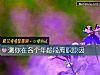 《測你在各個年齡段離職原因》测试