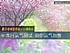 《本月運氣測試 測你運氣<i>指數</i>》测试
