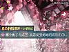 《哪個桃子有點苦 從戀愛到<i>婚姻</i>阻礙你們的是什麼》测试
