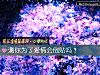 《測你爲了<i>愛情</i>會倒貼嗎？》测试
