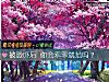 《被恐嚇後 你會乖乖就範嗎？》测试