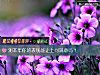 《測本年你的表現能讓上司滿意嗎？》测试