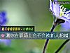 《測你在職場上會不會被新人超越》测试