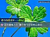 《本年姻緣占蔔 哪個季節你<i>愛情</i>運最好》测试
