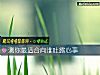 《測你最適合向誰吐露心事》测试