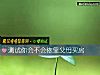 《測試你會不會依靠父母<i>買房</i>》测试