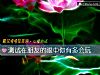 《測試在朋友的<i>眼中</i>你有多會玩》测试