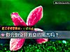 《你會飽受<i>異地戀</i>的痛苦嗎？》测试