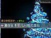 《測你在本年幾月<i>桃花</i>最旺》测试