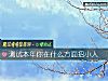 《測試本年你在什麼方面招小人》测试