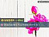 《測試你能夠在不公平的職場中待多久》测试