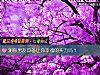《測你男友具備讓你<i>幸福</i>的實力嗎？》测试