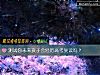 《測試你未來孩子會經曆高考複讀嗎？》测试
