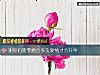《測你們需要磨合多久<i>愛情</i>才會升華》测试