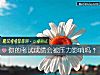 《你的考試成績會被<i>壓力</i>影響嗎？》测试