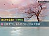 《測需要付出多久努力你才會獲得<i>收獲</i>》测试
