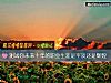 《測試你未來十年的職業生涯是平淡還是輝煌》测试