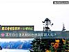 《本年你會遇見剛好也<i>喜歡</i>你的人嗎？》测试
