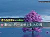 《測你的另一半<i>愛上</i>你的原因》测试
