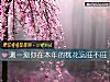 《測一測你在本年的<i>桃花運</i>旺不旺》测试