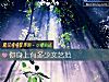 《你身上有多少文藝範》测试