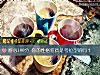 《耐心100分 你的<i>性格</i>特質是考拉型的嗎？》测试