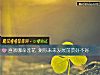 《<i>喜歡</i>哪朵蓮花 測你未來發展前景好不好》测试
